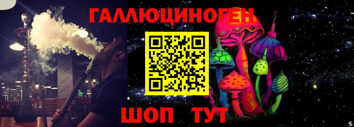 Находка  Псилоцибиновые грибы Psilocybe  Вход с VPN  Галлюциногенные грибы мухоморы 