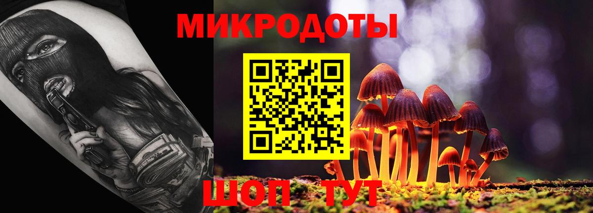 Псилоцибиновые грибы Psilocybine cubensis Находка