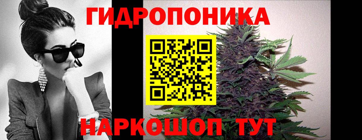 МАРИХУАНА ГИДРОПОН Находка